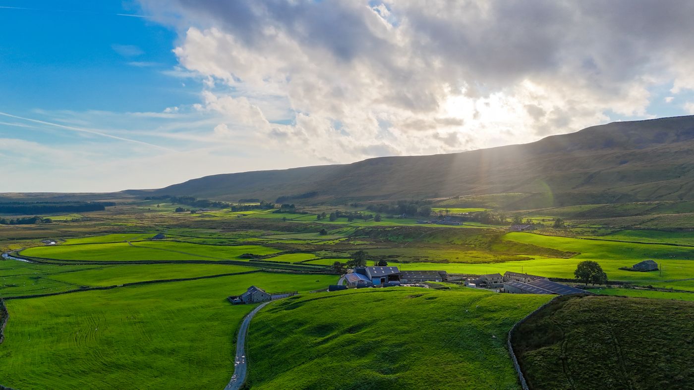 Green farmland and dry-stone-walled fields beneath a rolling Yorkshire hill in evening sun