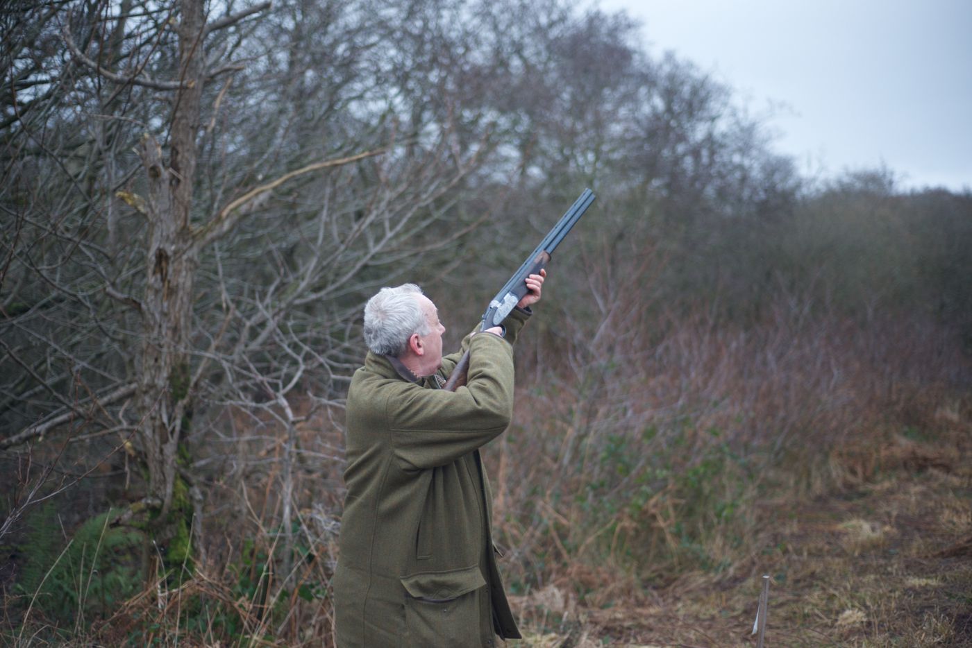 A shooter in a waxed coat aiming a shotgun skywards at the edge of woodland