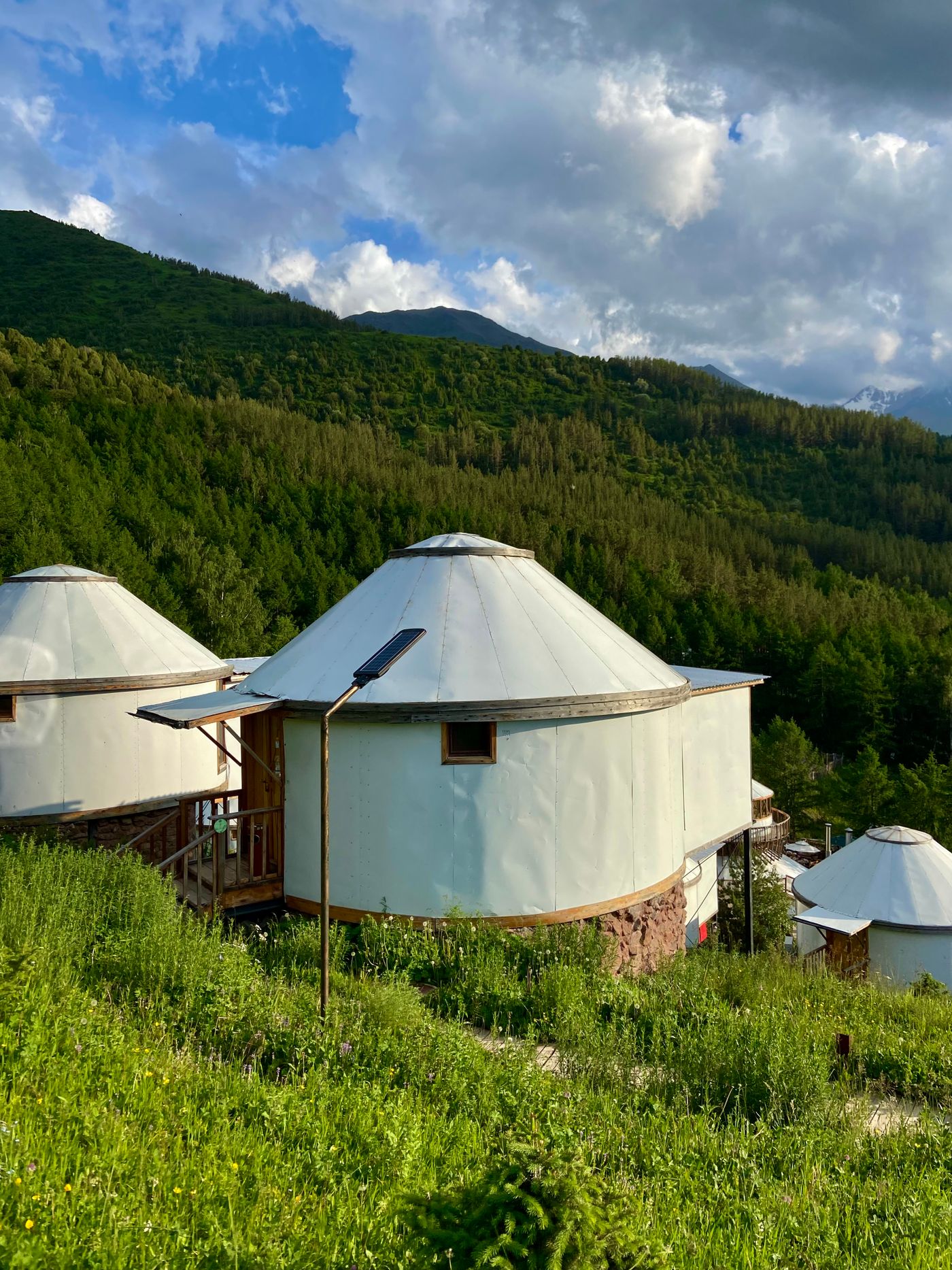 White yurts on a green hillside with wooded slopes behind